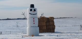 Abominable snowman?